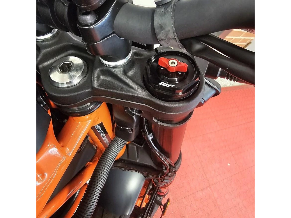 2025 Ktm Duke 390 alt