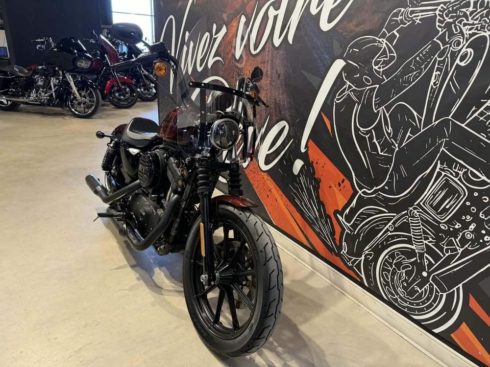 Harley-davidson Xl 1200ns 2019 alt