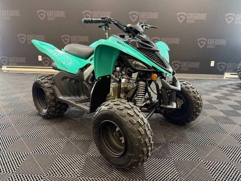 2025 Yamaha Raptor 110 alt