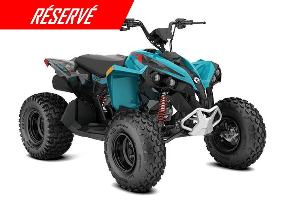 Can-am Renegade 110 Efi 2026 alt