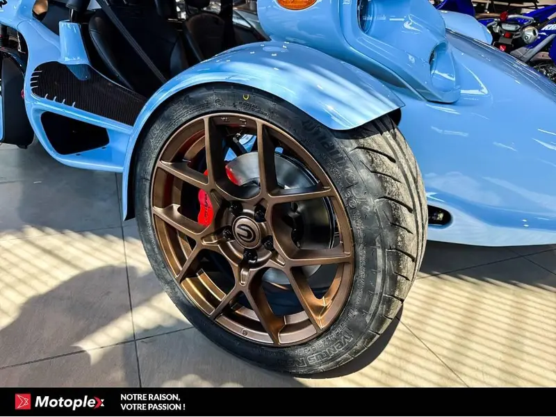 2026 Campagna T-Rex