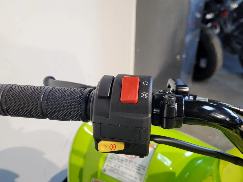 2026 Yamaha Raptor 110 *à Partir De 2.99%💳 alt