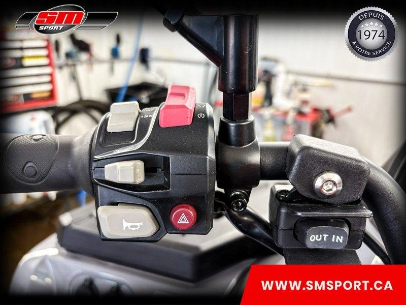 Cfmoto Cforce 1000 Eps 2up 2023 alt