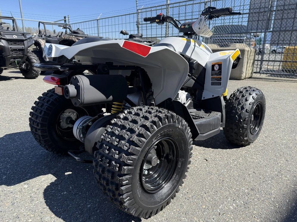 2026 Can-am Renegade 70 Efi alt
