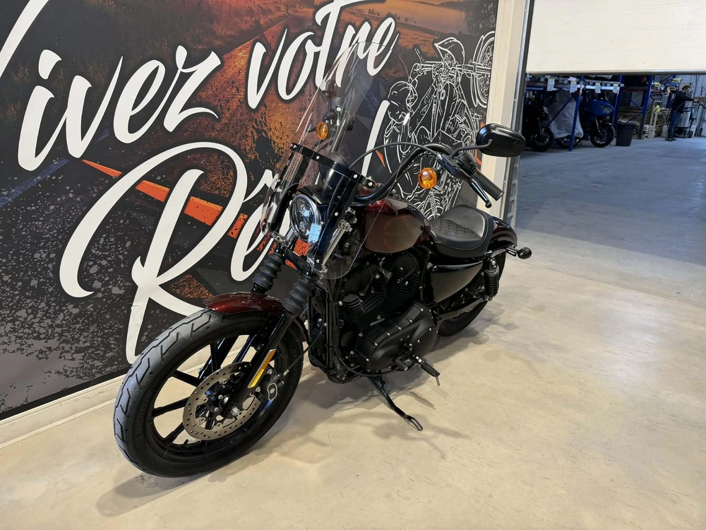 Harley-davidson Xl 1200ns 2019 alt