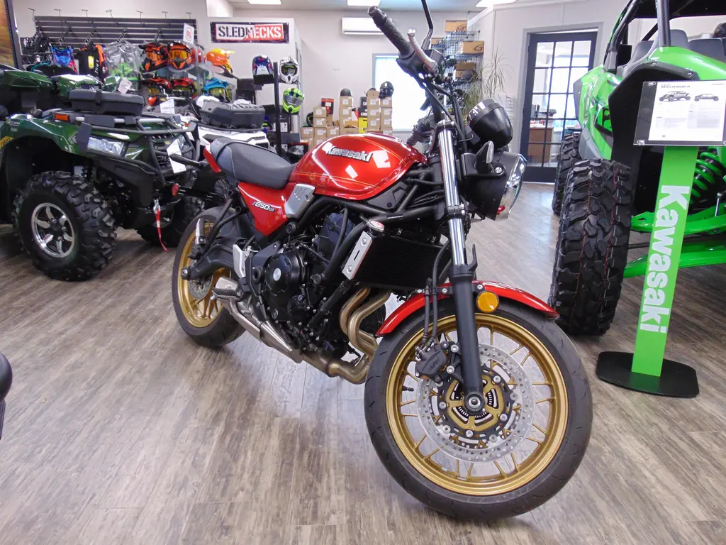 Kawasaki Z650 RS 2024