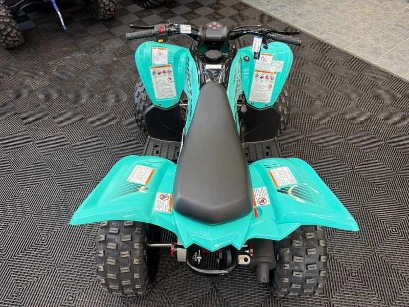 2025 Yamaha Raptor 110 alt