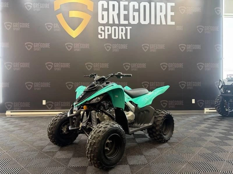 2025 Yamaha Raptor 110 alt