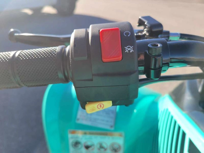 2025 Yamaha Raptor 110 alt