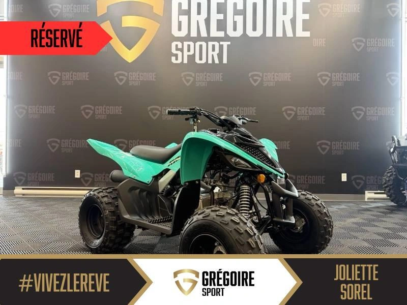 2025 Yamaha Raptor 110 alt