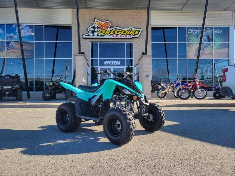 2025 Yamaha Raptor 110 alt