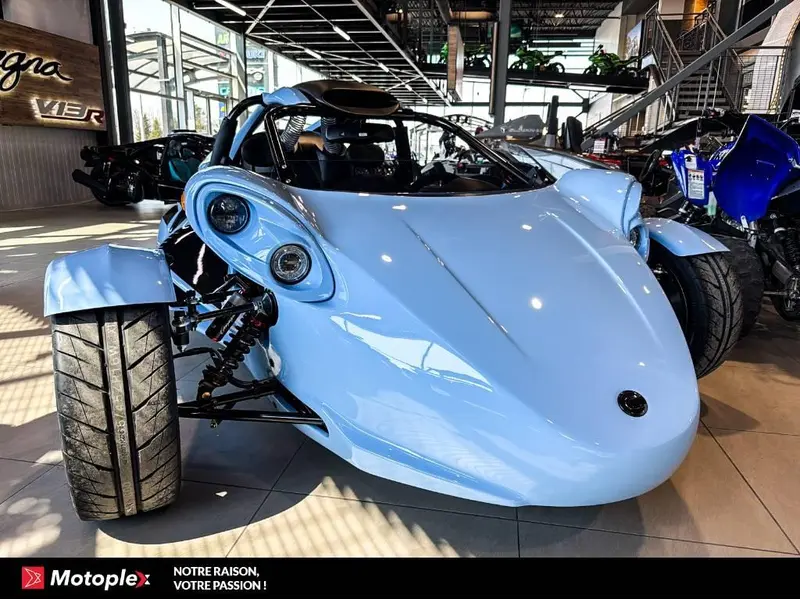 2026 Campagna T-Rex