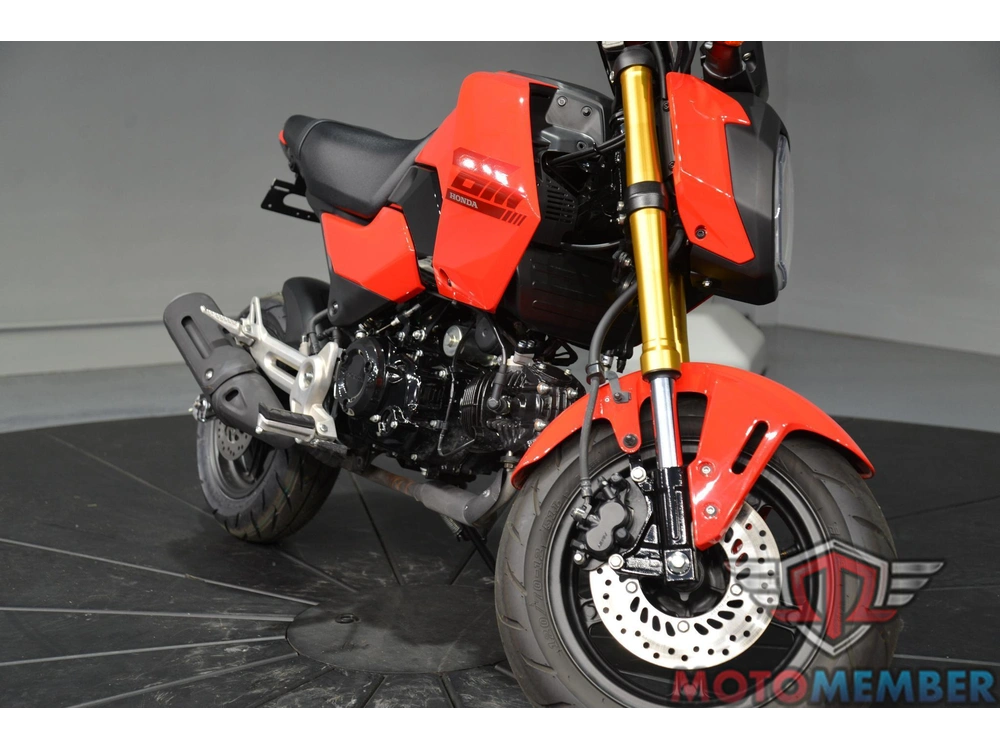 2025 Honda Grom alt