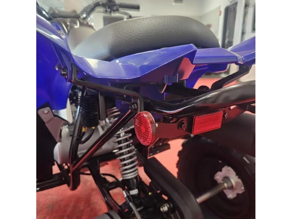 2026 Yamaha Raptor 110 alt