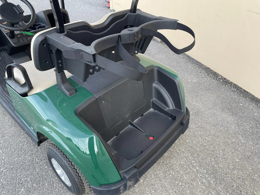 2024 E-z-go Rxv G alt