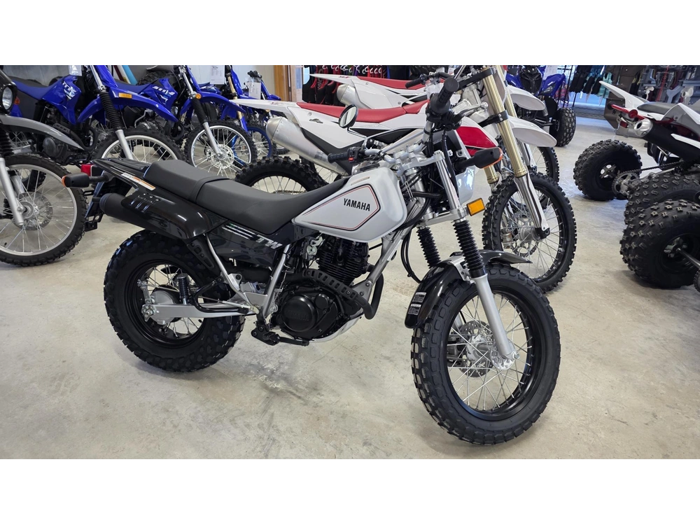 2026 Yamaha Tw 200 alt