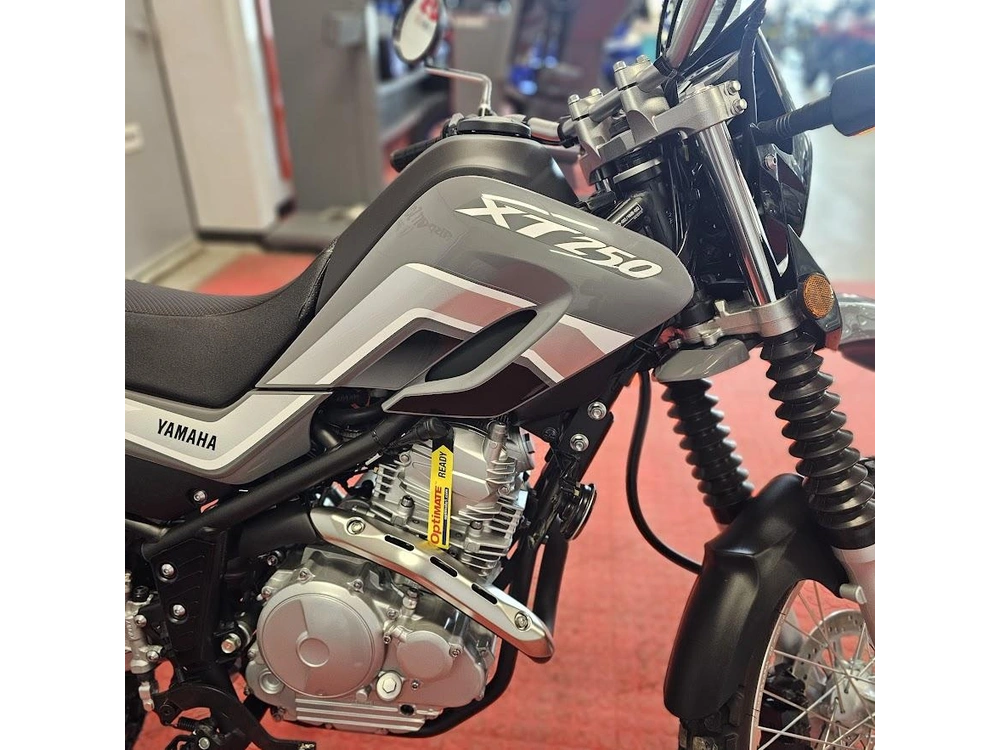 2025 Yamaha Xt 250 alt
