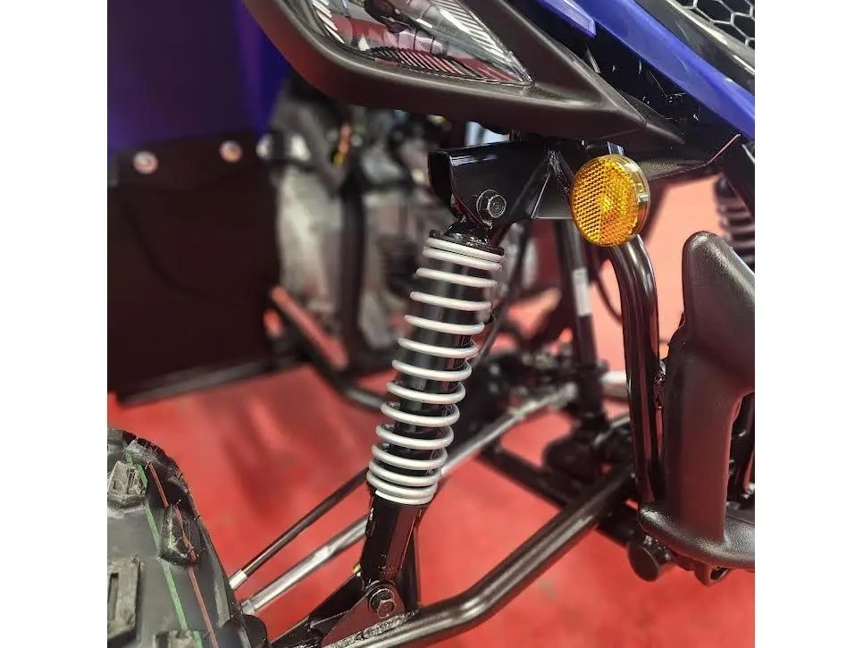 2026 Yamaha Raptor 110 alt