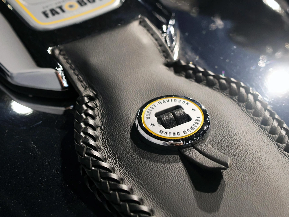 2025 Harley-davidson Fat Boy Ghost Flstf alt