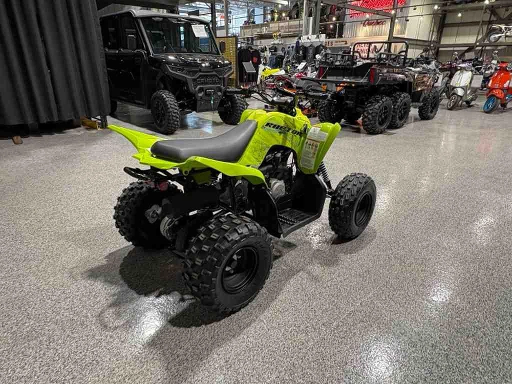2026 Yamaha Raptor 110 alt