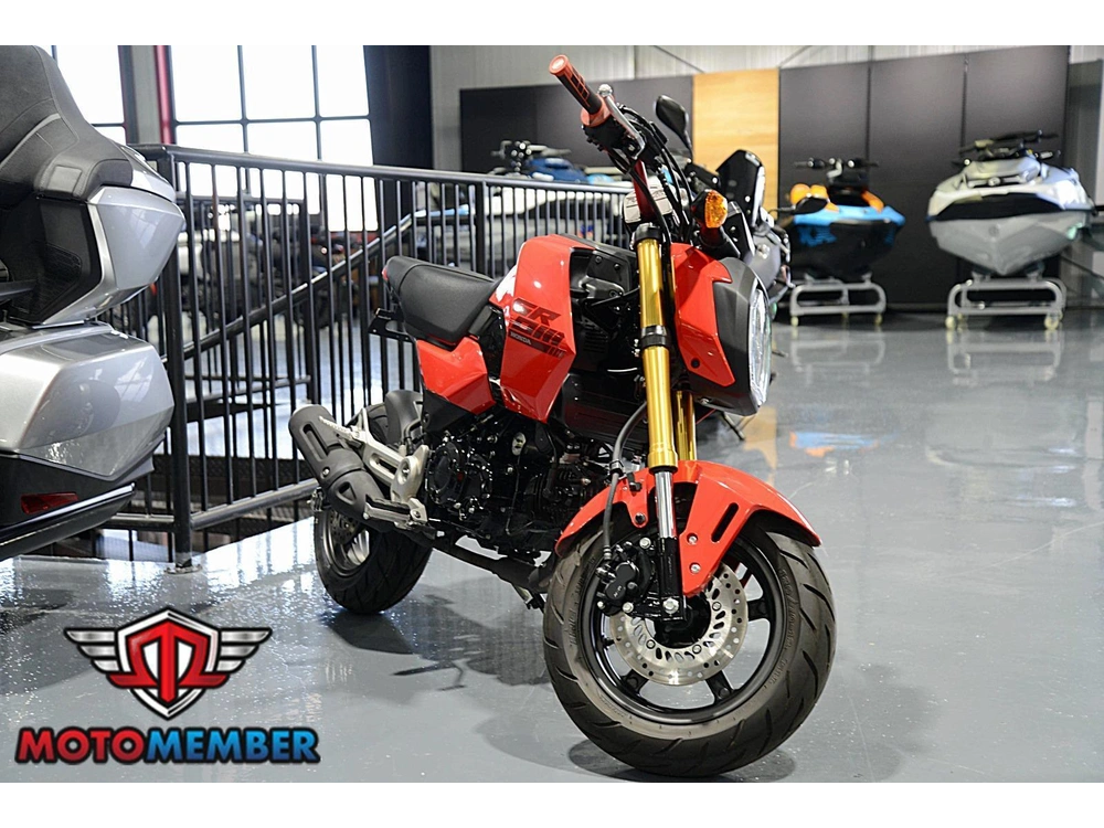 2025 Honda Grom alt