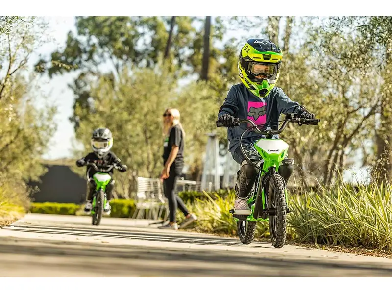 2025 Kawasaki ELEKTRODE 16 pouce