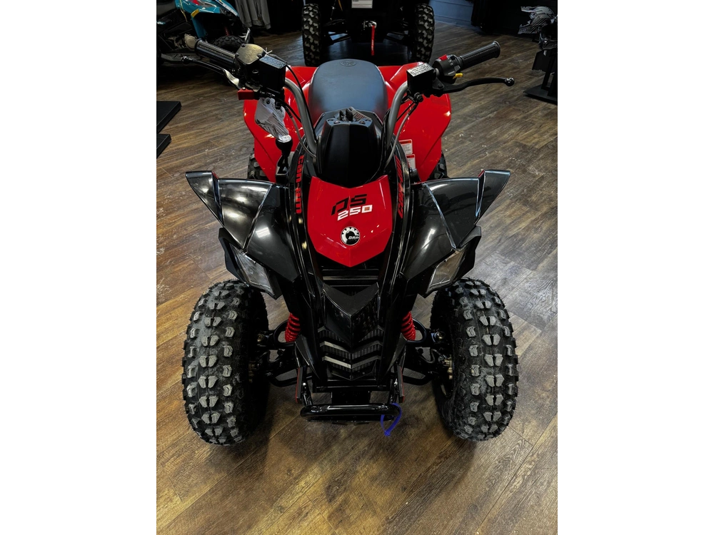 2026 Can-am Ds 250 alt