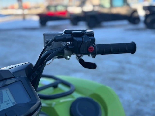 Yamaha Grizzly 700 Eps 2026 alt