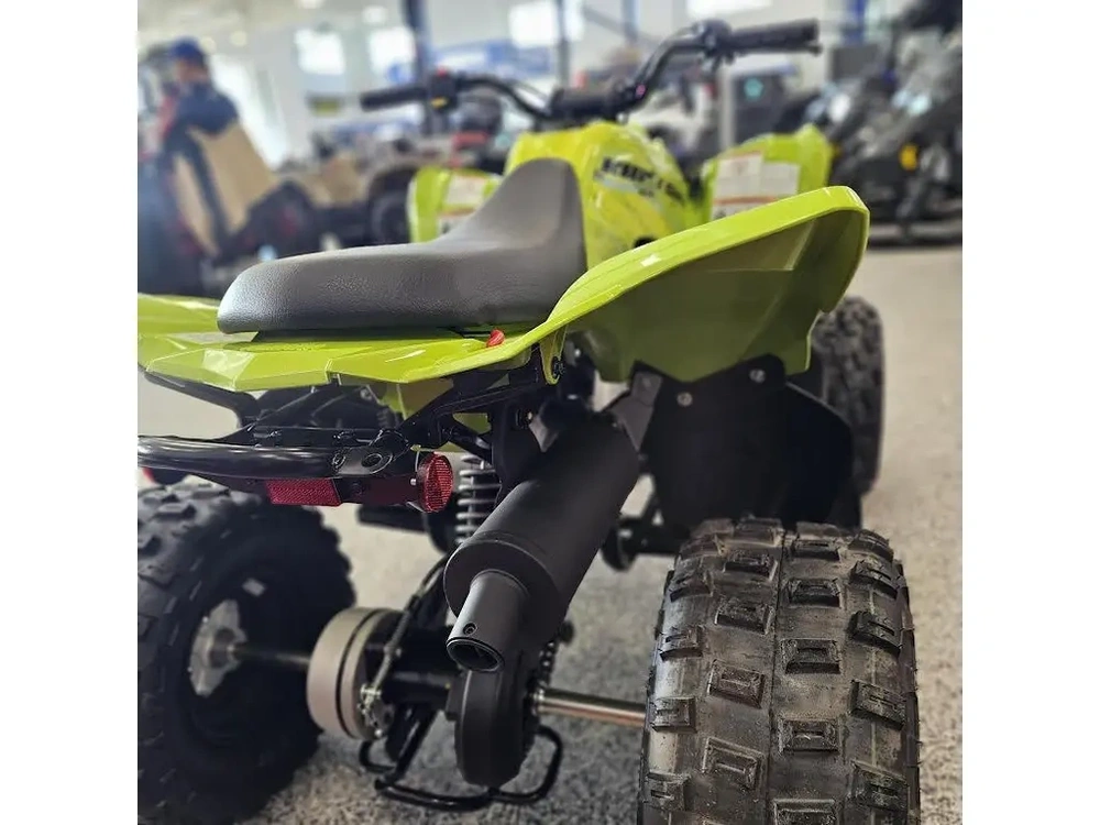 2026 Yamaha Raptor 110 alt