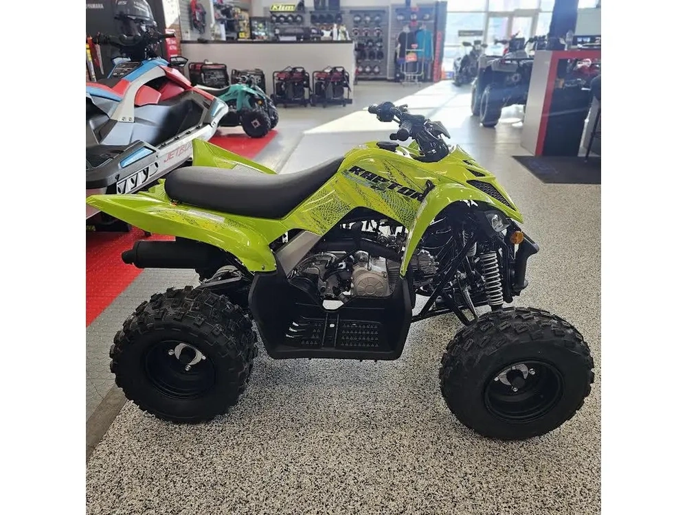 2026 Yamaha Raptor 110 alt