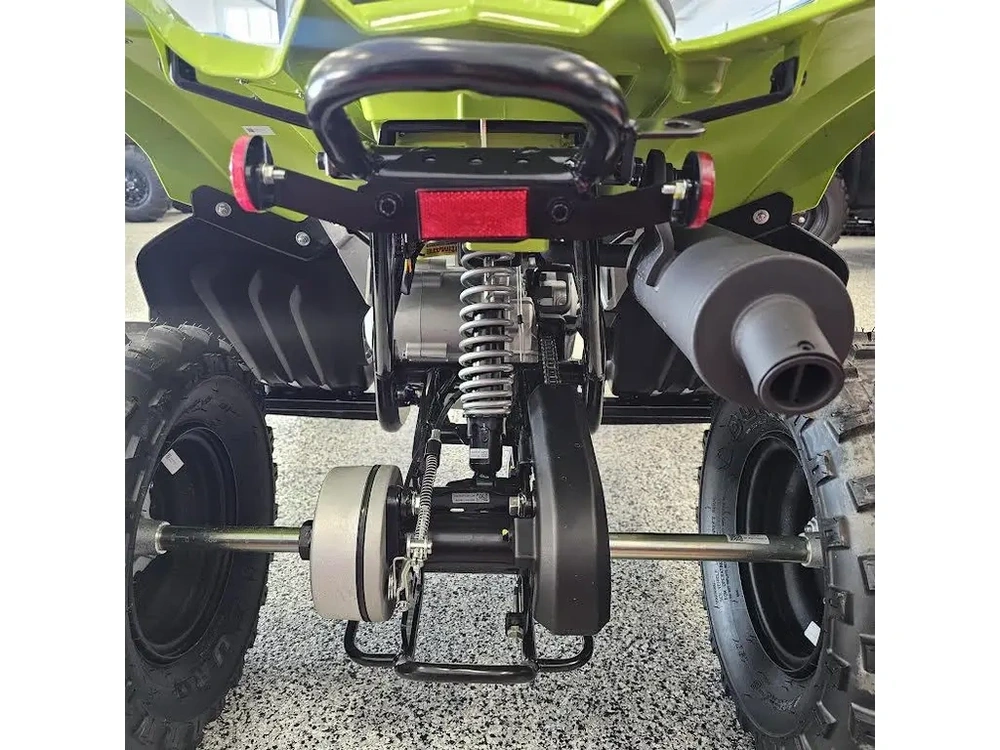 2026 Yamaha Raptor 110 alt