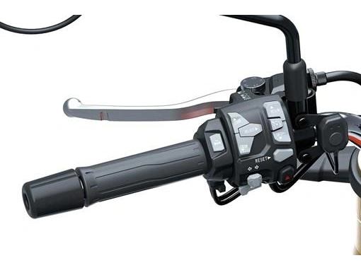 Kawasaki Z 900 Rs Abs 2026 alt