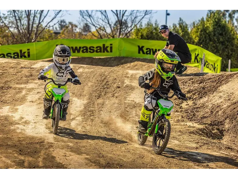 2025 Kawasaki ELEKTRODE 16 pouce