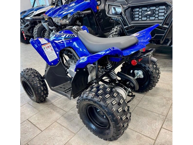 Yamaha Raptor 110 2026 alt
