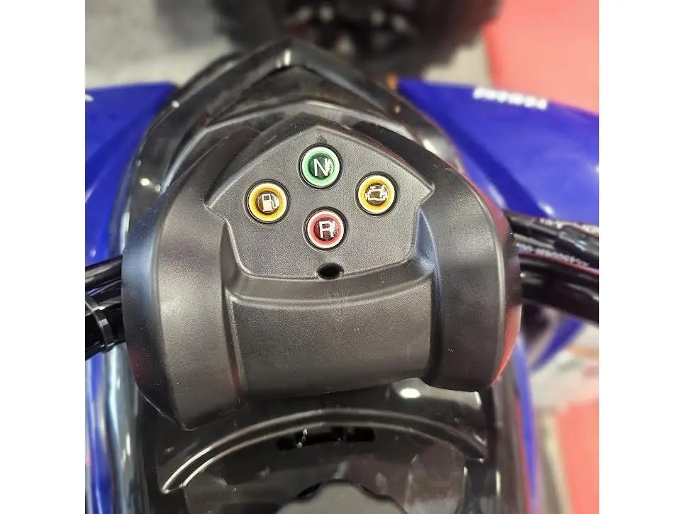 2026 Yamaha Raptor 110 alt