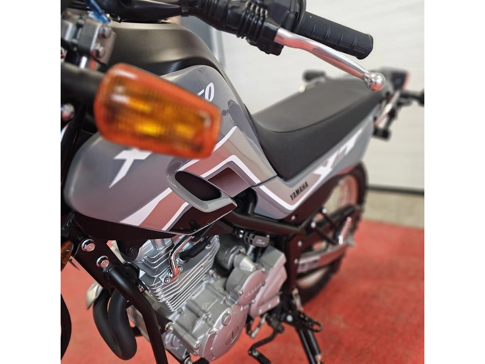 2025 Yamaha Xt 250 alt