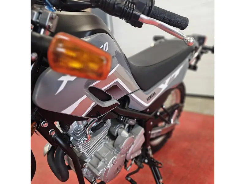 2025 Yamaha XT 250 thumbnail 11
