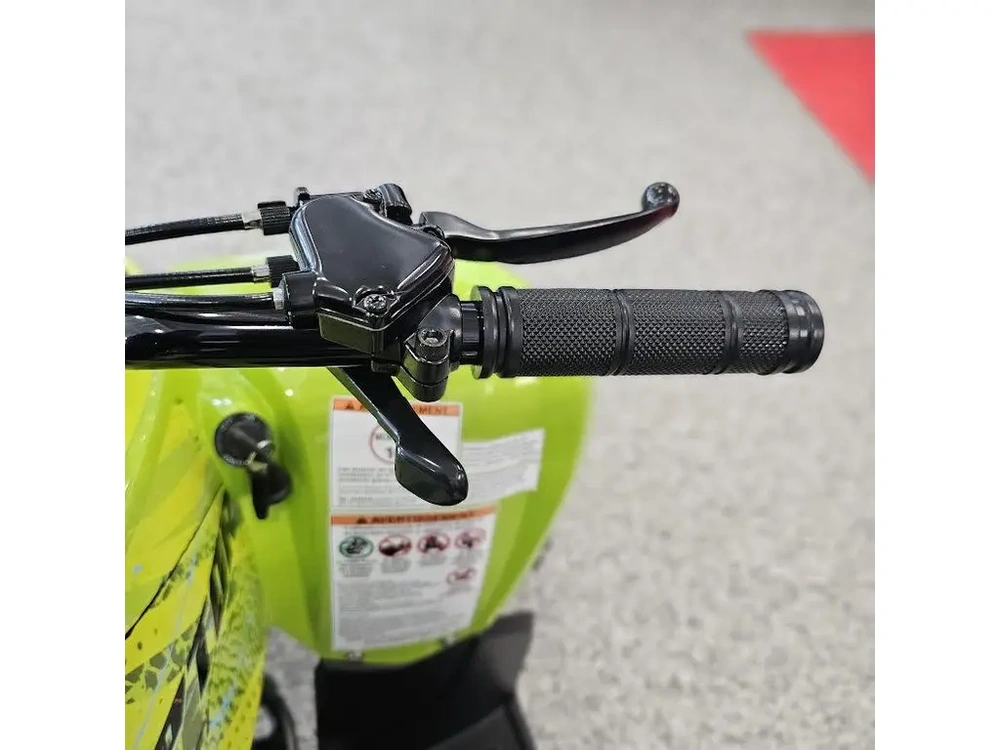 2026 Yamaha Raptor 110 alt