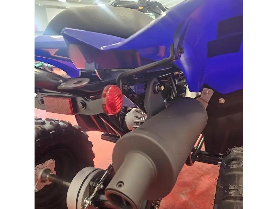 2026 Yamaha Raptor 110 alt