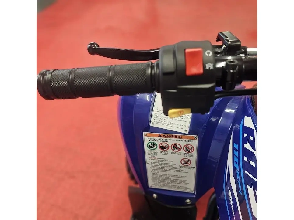 2026 Yamaha Raptor 110 alt