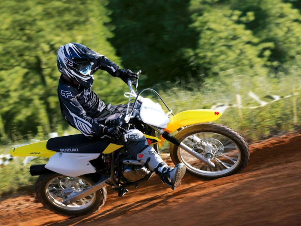 2025 Suzuki Dr-z125 alt