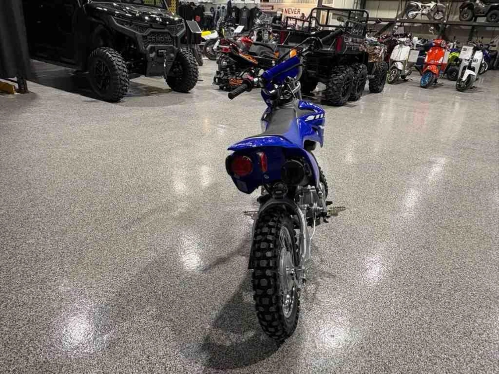 2026 Yamaha Tt-r110 alt