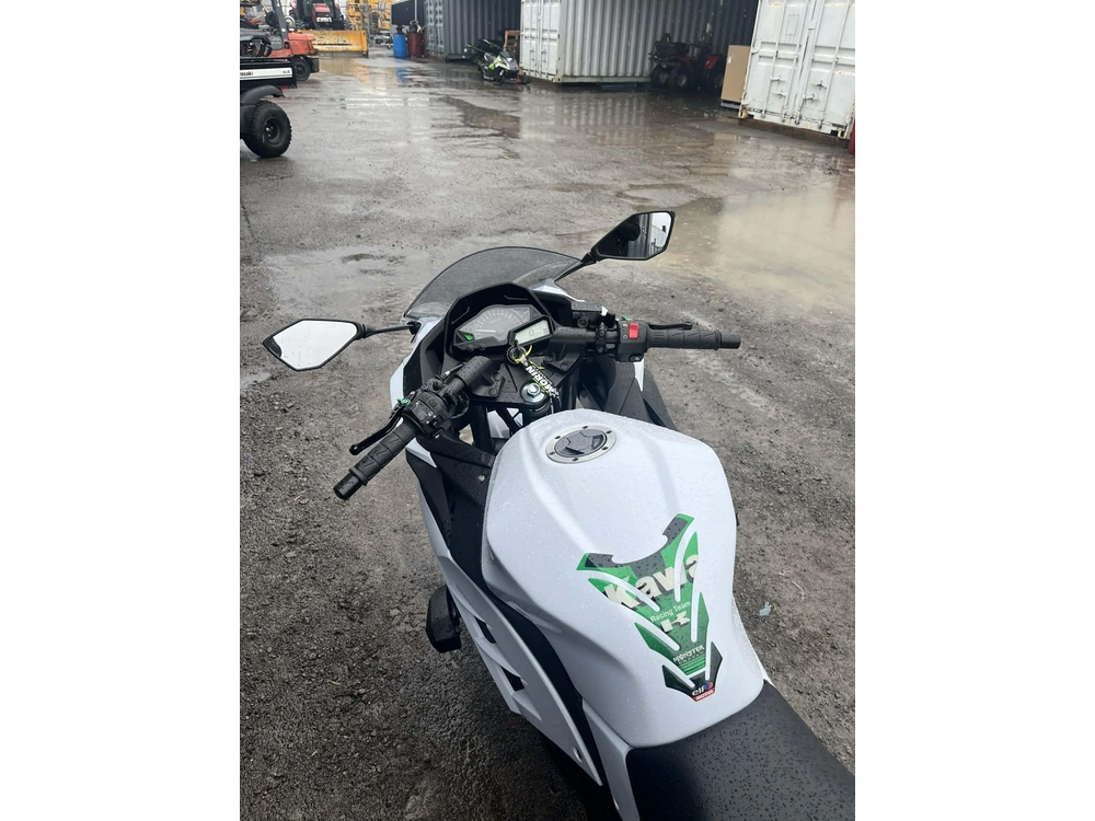 Kawasaki Ninja 300 2014 alt