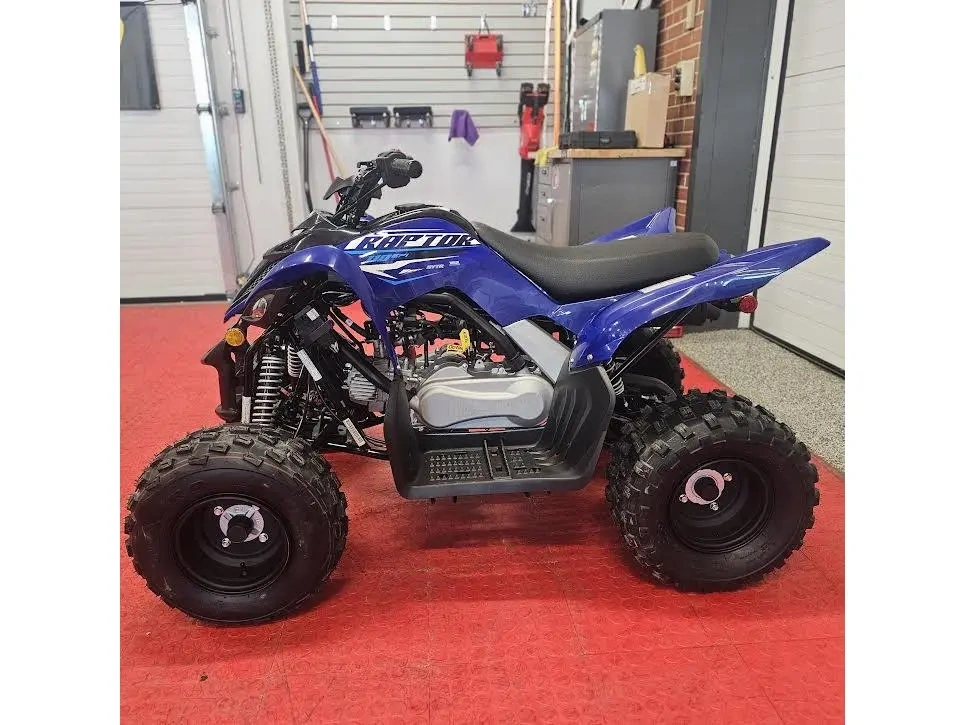 2026 Yamaha Raptor 110 alt