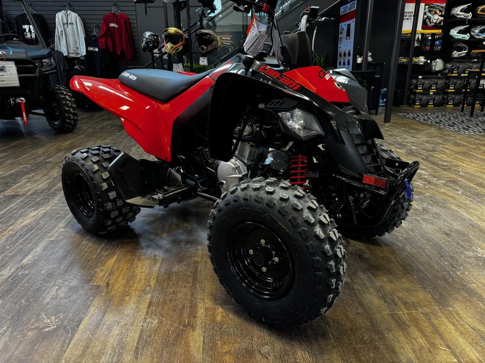 2026 Can-am Ds 250 alt