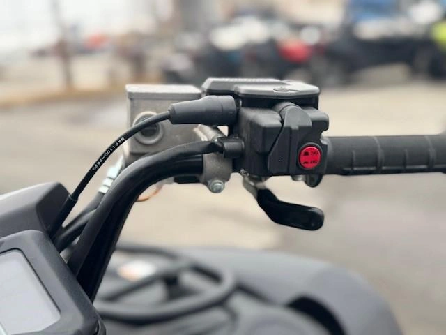 Yamaha Grizzly Eps Xt-r 2026 alt