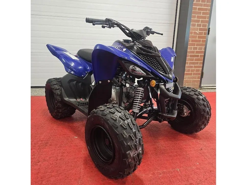 2026 Yamaha Raptor 110 alt