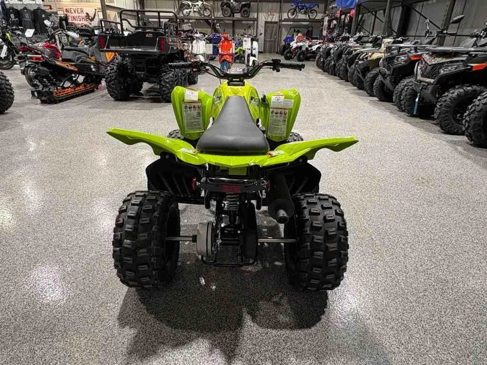 2026 Yamaha Raptor 110 alt