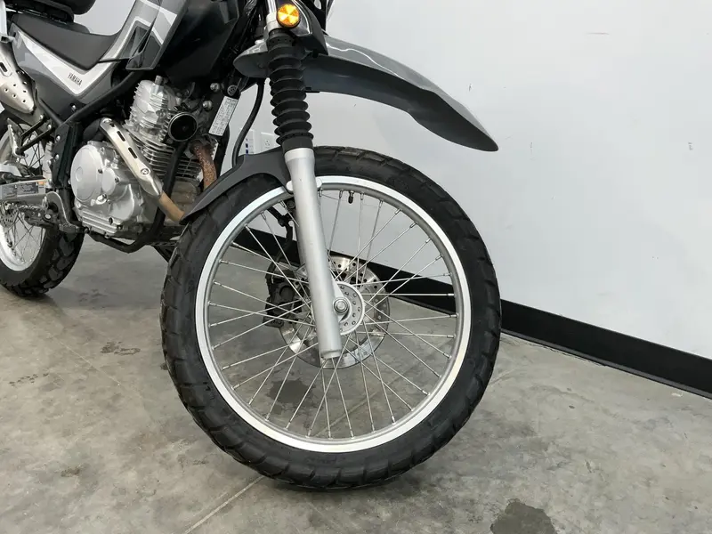2021 Yamaha Marine XT250 thumbnail 6