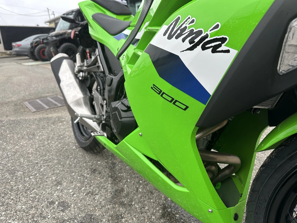 2026 Kawasaki Ninja 300 Abs alt